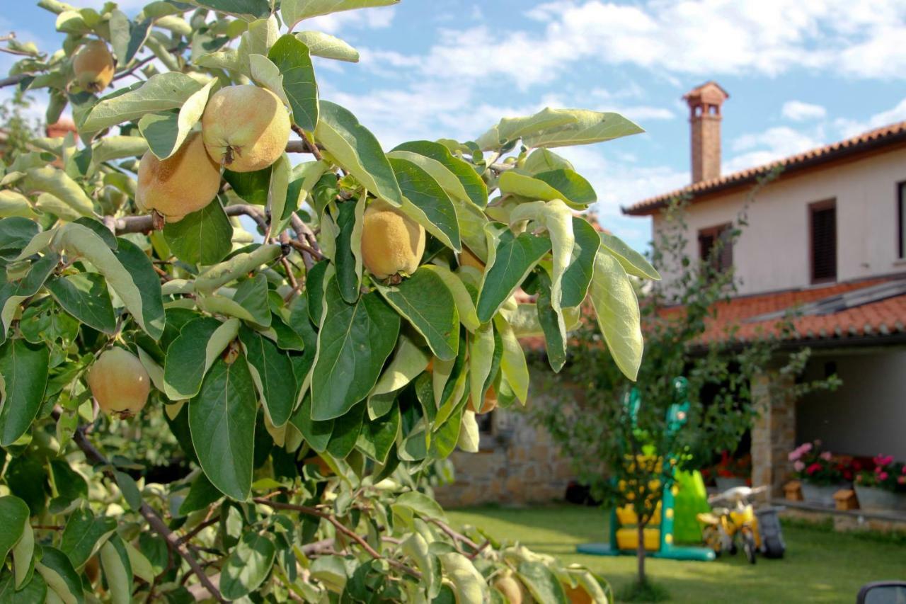 Tourist Farm With Apartments Fig Tree Dekani Exterior foto
